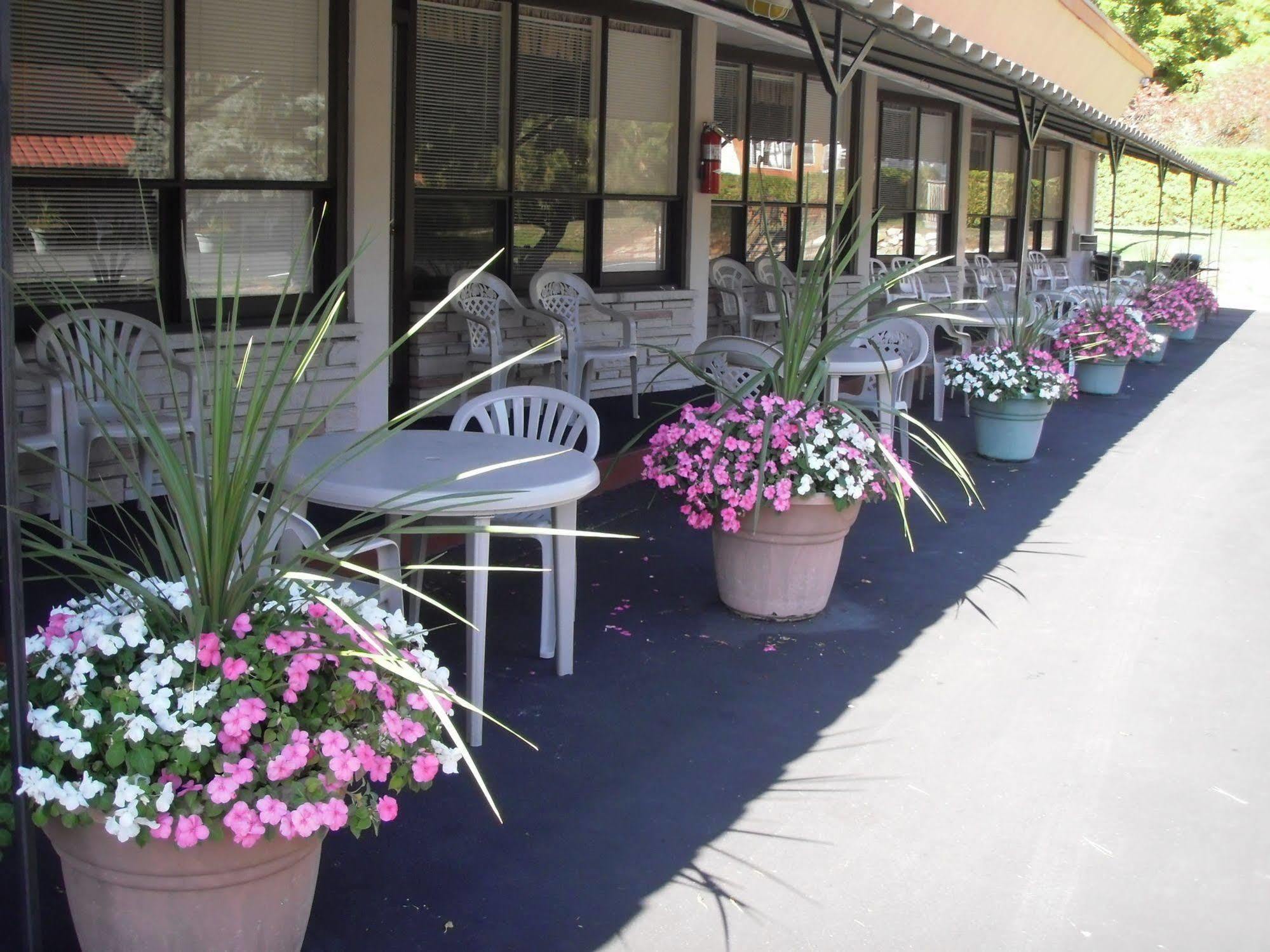 Capricorn Motel Royale 1000 Islands Lansdowne Экстерьер фото